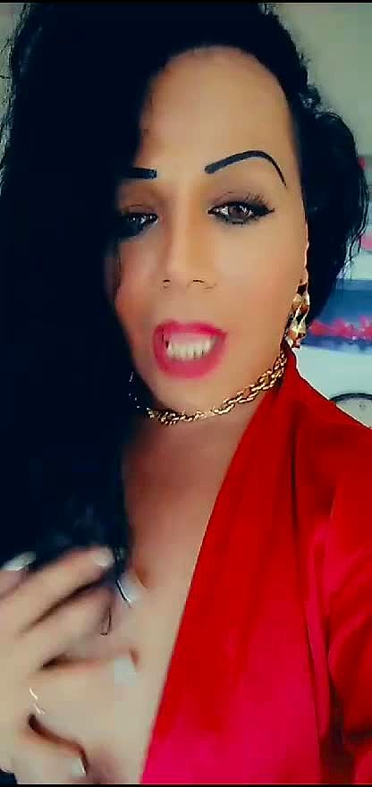 Sheila Trans Vidéo Arrière-plan