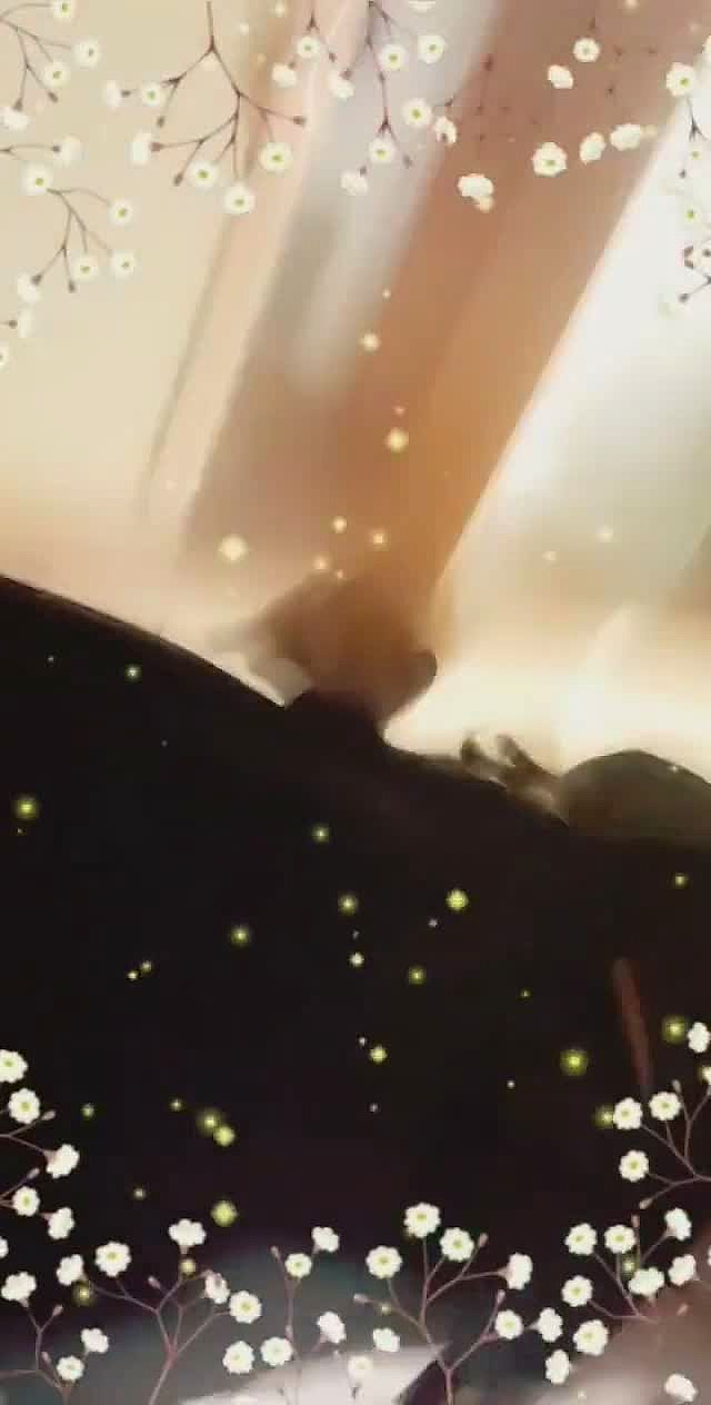 Femme Video Background