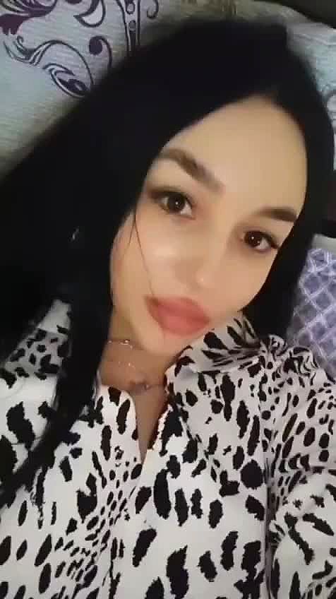 Berda Vidéo Arrière-plan