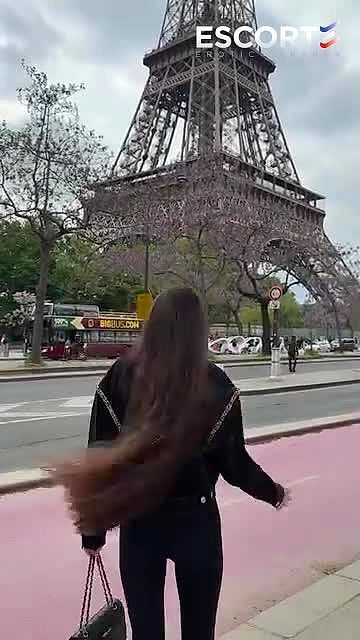 MIREILLE Video Background