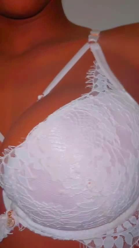 Lamia Video Background