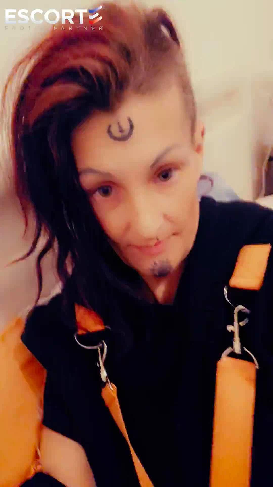 Punky27 Vidéo Arrière-plan