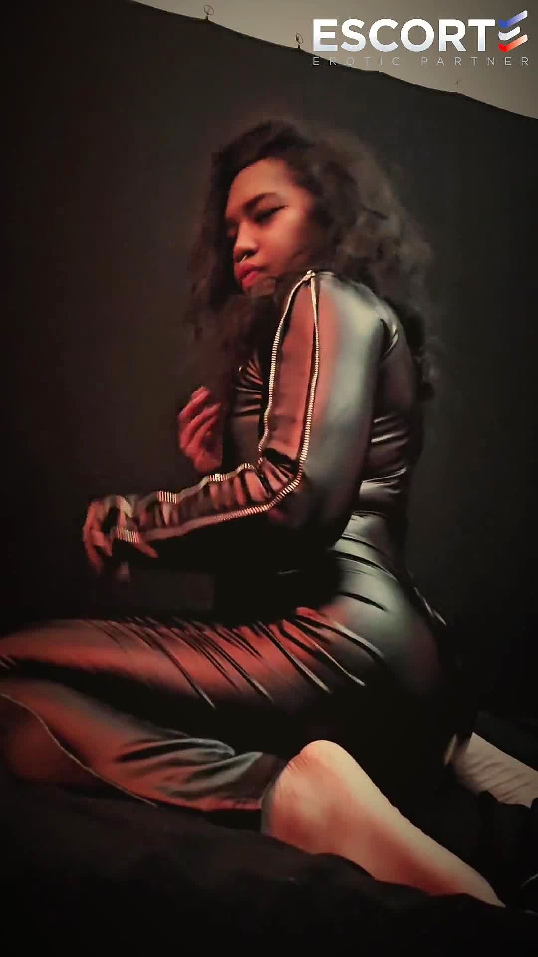 Laculcaracha Video Background