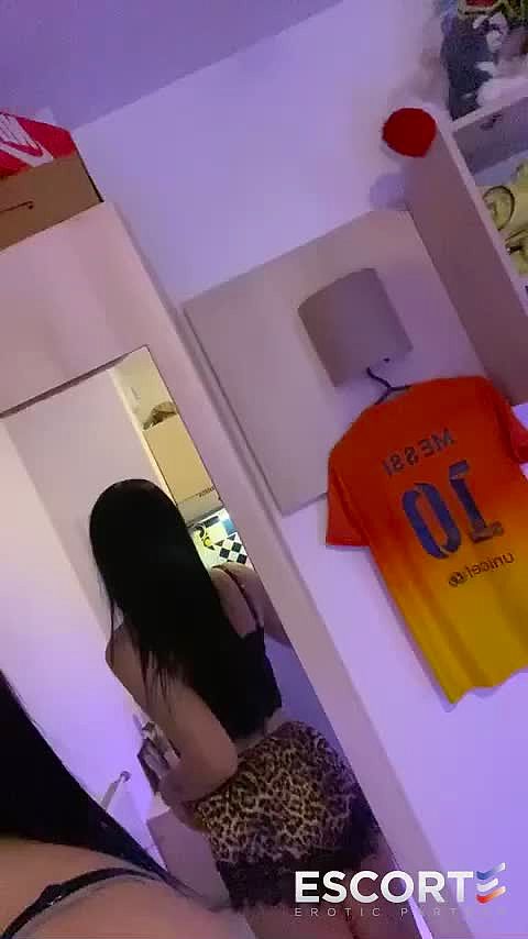 Sofia Video Background