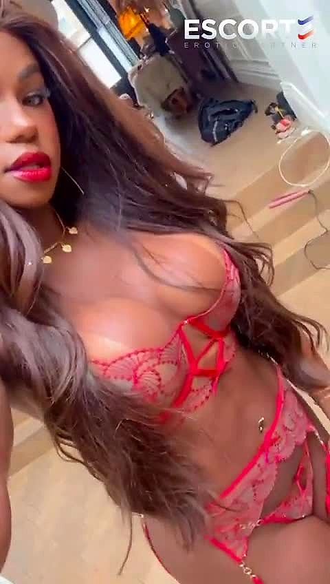 Thays Pezzini Vidéo Arrière-plan