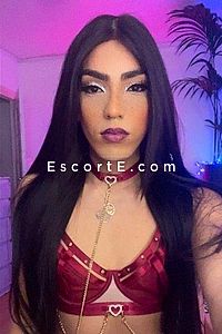 Sophia Sharlott - Escort Trans Cannes