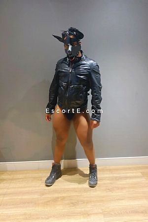 Dreke - Sainte-Foy-lès-Lyon Boy Escorts