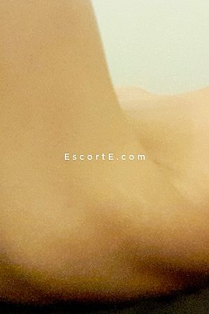 Skinnycarca - Carcassonne Boy Escorts