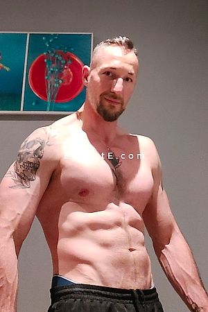 Nicky - Massy Boy Escorts