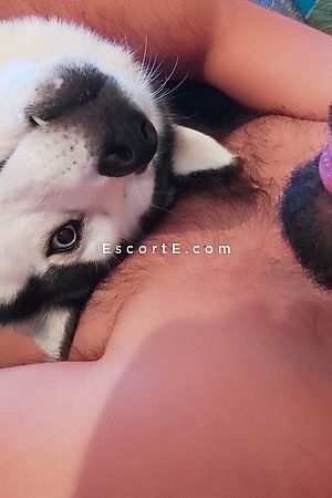 Paul - Escort Boy Angers