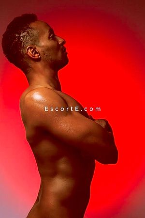 dave67 - Escort Boy Strasbourg