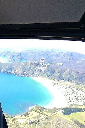 BradTop1percentCompanion - Cannes Boy Escorts