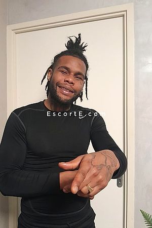 mysteregentlemen - Escort Boy Toulouse