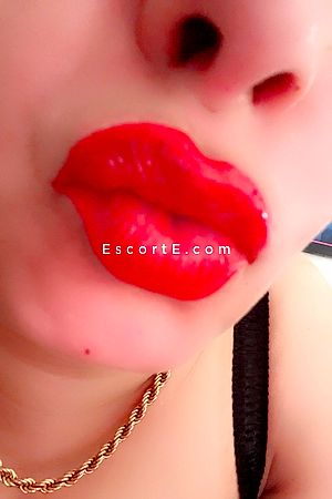 UneGrosseChienne Photo