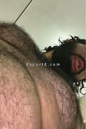 Prince indien Photo #3